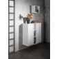 Sapho Espace - Armoire à étagères ouverte 350x350x220 mm, chêne argenté ESC150-1111