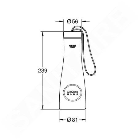 Grohe Blue Home - Bouteille thermo, 450 ml, inox brossé 40848SD0