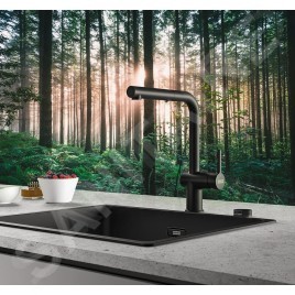 Franke Active New - Mitigeur d'évier FN 6110.901 avec douchette extractible, noir mat 115.0653.382