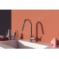 Ideal Standard Gusto - Mitigeur d'évier avec douchette extractible, chrome BD416AA