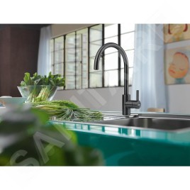 Franke Eos Neo - Mitigeur d'évier FC 0044.502 noir 115.0613.590
