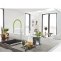 Grohe Essence - Flexible robinet de cuisine, vert 30321GE0