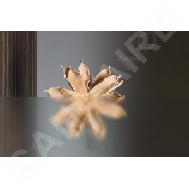 Aqualine Cabines de douche - Porte de douche Pilot, en deux parties 1000 mm, aluminium brillant/verre Brick PT102