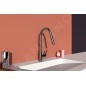 Ideal Standard Gusto - Mitigeur d'évier avec bec extractible, gris magnétique BD414A5
