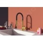 Ideal Standard Gusto - Mitigeur d´évier avec bras flexible et douchette, installation à 2 trous, or brossé/noir BD417A2