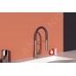 Ideal Standard Gusto - Mitigeur d’évier avec bras flexible et douchette, acier/noir BD417GN