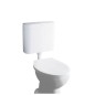 Grohe Accessoires - Réservoir de chasse d’eau, blanc alpin 37791SH0 Grohe Accessoires - Réservoir de chasse d’eau, blanc alpin 37791SH0