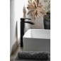 Sapho Ginko - Mitigeur de lavabo haut, noir mat 1101-04B