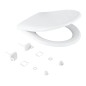 Grohe Rapid SL - Abattant WC, SoftClose, blanc alpin 42466000
