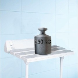 Sapho Accessoire Ridder - Siège de douche, rabattable, blanc A0020301