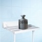 Sapho Accessoire Ridder - Siège de douche, rabattable, blanc A0020301