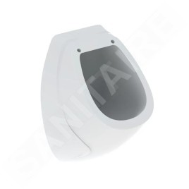 Geberit Urinoirs - Urinoir, alimentation d’eau arrière, blanc 239200000