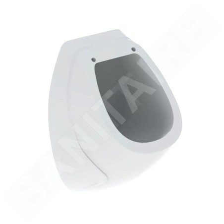 Geberit Urinoirs - Urinoir, alimentation d’eau arrière, blanc 239200000