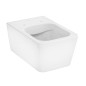 Hansgrohe EluPura Q - WC suspendu, AquaFall, blanc 60194450 Hansgrohe EluPura Q - WC suspendu, AquaFall, blanc 60194450