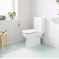 Grohe Start Edge - WC à poser avec réservoir et abattant softclose, rimless, blanc alpin 39951000