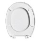 Aqualine Abattants WC - Abattant de toilette polypropylène, blanc ST278 Aqualine Abattants WC - Abattant de toilette polypropylène, blanc ST278