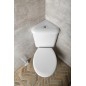 Aqualine Céramique - WC Clifton, d'angle, vidange arrière, blanc FS1PK Aqualine Céramique - WC Clifton, d'angle, vidange arrière, blanc FS1PK