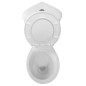 Aqualine Céramique - WC Clifton, d'angle, vidange arrière, blanc FS1PK Aqualine Céramique - WC Clifton, d'angle, vidange arrière, blanc FS1PK