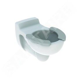 Geberit Bambini - WC enfant suspendu 330x535 mm, blanc/gris 201715000