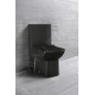 Sapho Lara - WC combi, évacuation arrière/bas, noir mat LR360 Sapho Lara - WC combi, évacuation arrière/bas, noir mat LR360