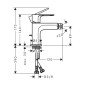 Hansgrohe Rebris E - Mitigeur de bidet avec vidage, noir mat 72213670