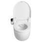 Sapho Blooming - Bidet électronique avec commande à distance, SoftClose, blanc NB-R770D Sapho Blooming - Bidet électronique avec commande à distance, SoftClose, blanc NB-R770D