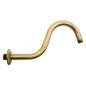 Sapho Douches - Bras de douche, 300 mm, bronze BR556