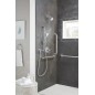 Grohe Essentials - Poignée, chrome 40421001