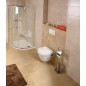Aqualine Samba - Porte-rouleau toilette avec brosse de toilette à poser, chrome SB131 Aqualine Samba - Porte-rouleau toilette avec brosse de toilette à poser, chrome SB131