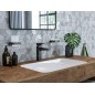 Hansgrohe AddStoris - Porte-savon avec support, verre mat / noir mat 41746670