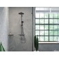 Hansgrohe AddStoris - Étagère d'angle, chrome noir brossé 41741340