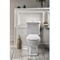 Sapho Accessoires de salle de bains Gedy - Brosse WC à poser, bronze 753344