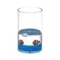 Aqualine Pyxis - Verre Nemo pour brosses à dents et dentifrice, bleu/clair PY1089