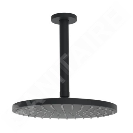 Hansa Viva - Douche de tête, diamètre 25 mm, noir mat 4427020033