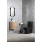 Sapho Avona - Miroir dans un cadre 40x70cm, noir mat AV400 Sapho Avona - Miroir dans un cadre 40x70cm, noir mat AV400