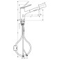 Hansgrohe Zesis M33 - Mitigeur d'évier 150, avec douchette extractible, chrome 74800000