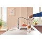 Grohe Blue Pure - Mitigeur d'évier Minta avec filtration et manchon de fermeture  extractible, chrome 30601000