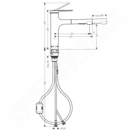 Hansgrohe Zesis M33 - Mitigeur d'évier 160, avec douchette extractible et inverseur, aspect inox 74801800