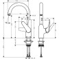 Hansgrohe Focus M42 - Mitigeur d'évier M421-H220, chrome 71802000