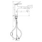 Hansgrohe Zesis M33 - Mitigeur d'évier avec douchette extractible, noir mat 74822670