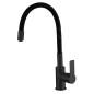 Aqualine Lore - Mitigeur d’évier avec bras flexible, noir mat 1106-70B