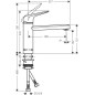 Hansgrohe Focus M42 - Mitigeur d'évier M421-H120, aspect inox 71806800
