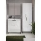Cersanit City - Armoire haute, 180x60x36 cm, 2 portes, blanc S584-019-DSM