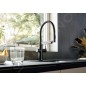 Blanco EVOL-S Pro - Mitigeur d'évier avec bras flexible, douchette et fonction de filtration, noir mat 526636