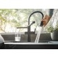 Blanco EVOL-S Pro - Mitigeur d'évier avec bras flexible, douchette et fonction de filtration, noir mat 526636