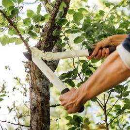 FISKARS Outils de jardinage - Coupe-branches 1026930