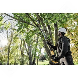 DeWALT Outillage - Élagueuse sur perche XR 18V, batterie 5 Ah DCMPS567P1