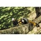 DeWALT Outillage - Élagueuse sur perche XR 18V, batterie 5 Ah DCMPS567P1