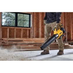 DeWALT Outillage - Souffleur de jardin AKU 18V, 1x batterie 5.0 Ah XR, chargeur DCMBL562P1