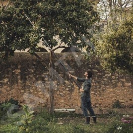 FISKARS Outils de jardinage - Coupe-branches, télescopiques 1023624
